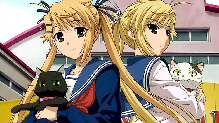 Kotone & Akari Kirishima (Nyan Koi!)