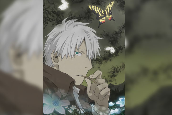 Mushishi: Hihamukage