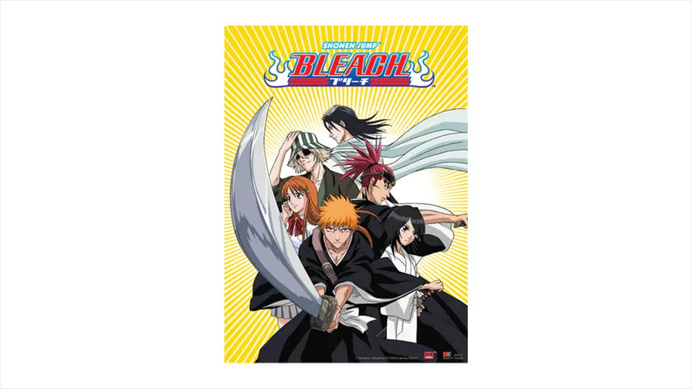 Bleach Gift Ideas